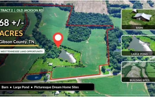West TN Mixed-Use Farm for Sale – Pond, Barn, Lots of Wildlife