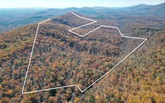 221-Acre Mountain Retreat near Faber, VA – Views & Timber!