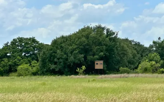 10 Acres for Sale Near Brownwood TX | Blanket, Texas