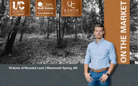 10 Acres of Secluded Ozarks Hunting Land | Mammoth Spring, AR