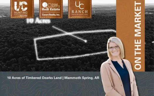 10 Acres of Timbered Ozarks | Mammoth Spring, AR