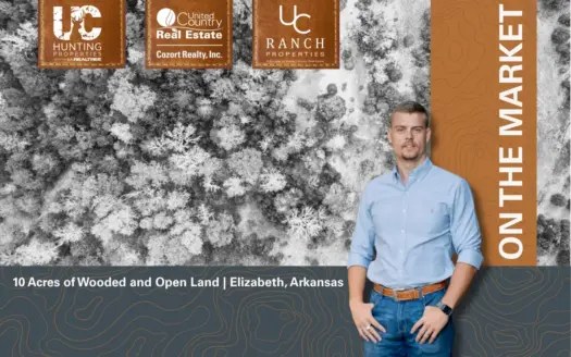 10 Acres of Wooded & Open Land | Elizabeth, Arkansas