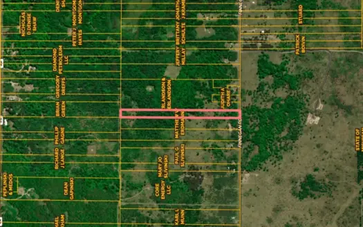 10 Acres Private Wooded Hunting Property Johannesburg MI