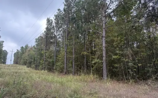 10.5± Acres Wooded Land in Miller Co, AR | Build-Ready with Power