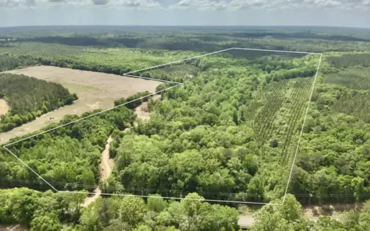 105ac Hunting Land South of Hartford Alabama w/ Hurricane Creek