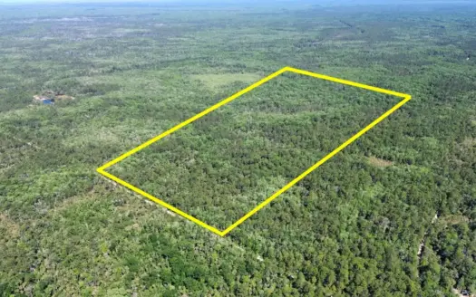111 Acres Near Suwannee River | Smaller & Larger Tracts Available