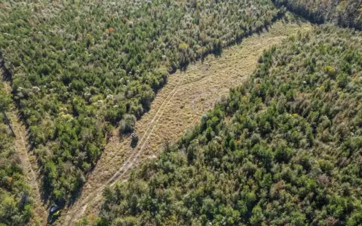 113 Acres of Hunting Land in Liberty, Mississippi