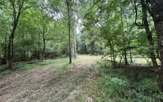 113± Acres for Sale in Osyka, MS on Tickfaw River