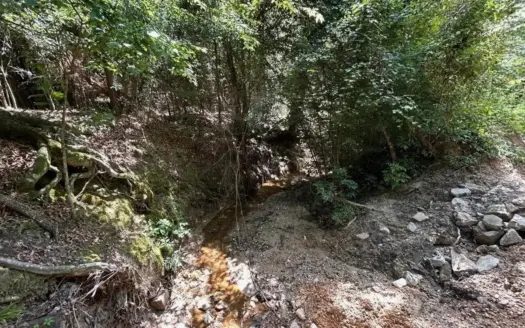 11± Acres in McCall Creek, MS with Creek Frontage