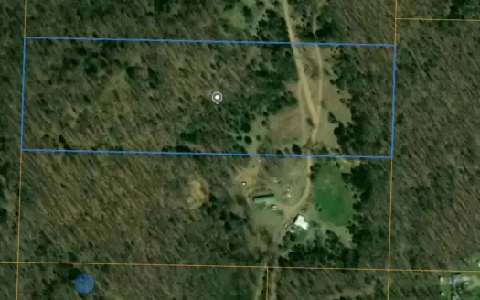 12 Secluded Acres Wooded Hillside Retreat in Rogersville