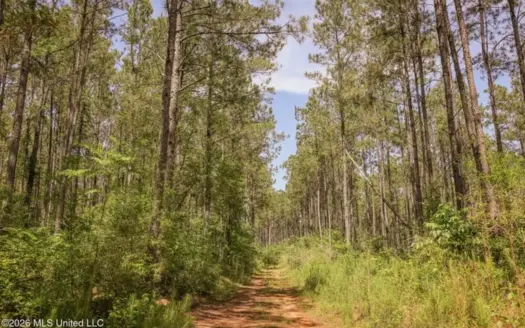 120 Acre Hunter’s Paradise in South MS for Sale