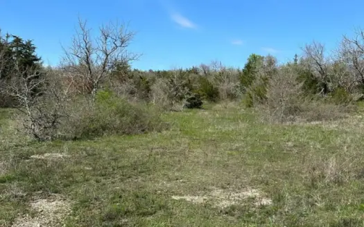 120± Recreational/Hunting Acres for Sale in Valliant, OK