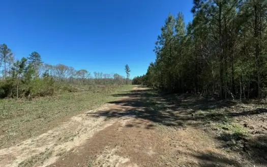 123± Acres Centreville MS on Chance Rd Amite County