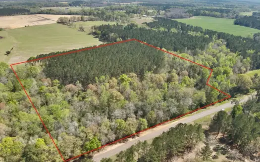 13.9 Acres on Saint Mary Rd, Cottonwood, Alabama.