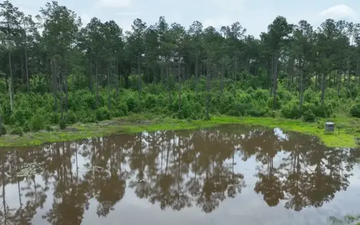 133 Acres of Timberland with Homesite Potential