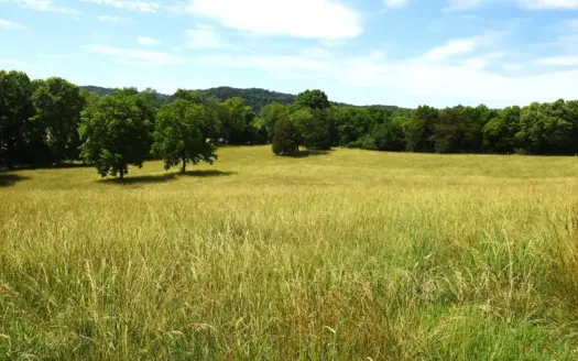 14 Acres, Horse Barn, Horse-Fenced Pastures, Woods. Homesites