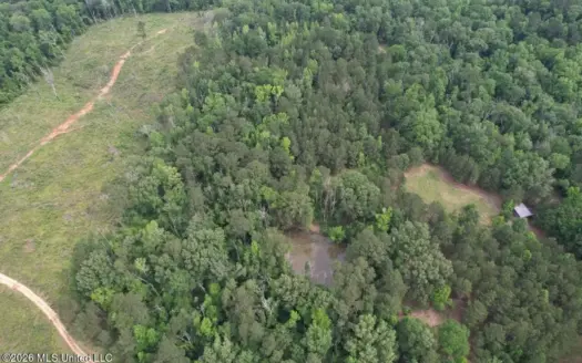 15 Acres with Pond & Homesite in Liberty, MS