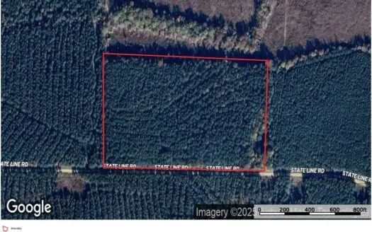 South Arkansas Timber Tract For Sale – Stateline Tract
