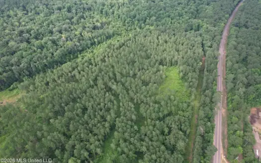 155 Acres Hunting Land for Sale in Centreville, MS