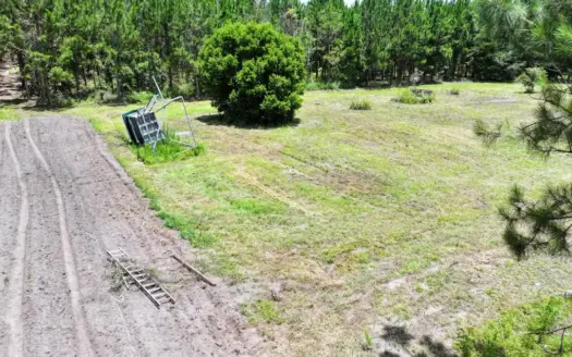 15‑Acre Pine Tree Retreat- Cleared Homesite & Income Potential