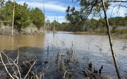 16.55-Acre Wooded Land Tract For Sale in Douglassville, Texas