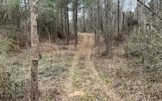 171 Acres with Two Ponds Berwick Cassels Road Amite County MS