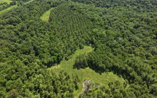 Secluded Turnkey Hunting Property