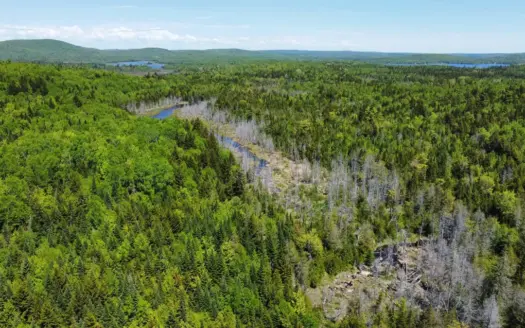 20 Acre Parcel with Brook Frontage – Oakfield, Maine