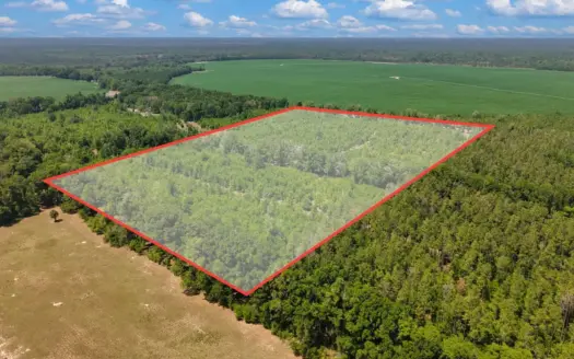 20 Acres in Branford, FL for Hunting, Recreational or Homesite