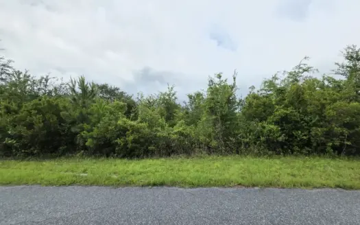 20 Acres of Opportunity in Columbia County, Florida!