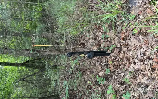 21.85 Acre Northeast Texas Recreational Property For Sale