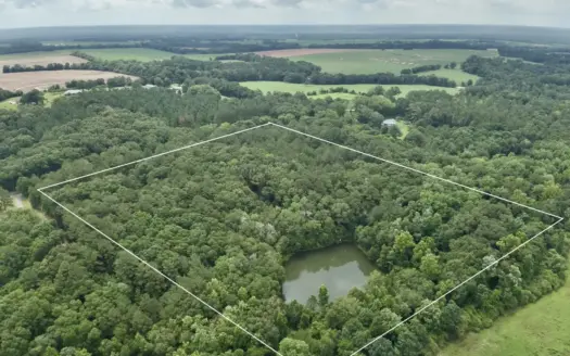 22ac Wooded land with a pond Coffee County Alabama