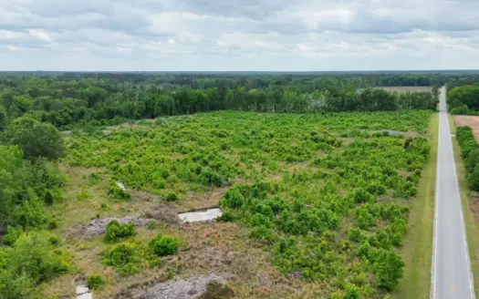 25 acres in Denmark on Voorhees Hwy