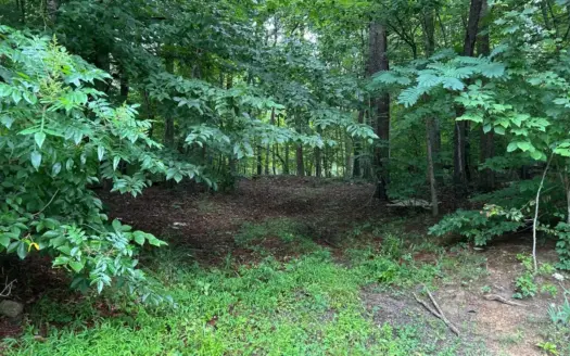 25.48 Acres of Unrestricted Land in Hawkins County Tennessee