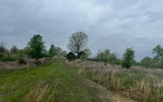 250 Acre River Crest Subdivision on Bull Shoals Lake