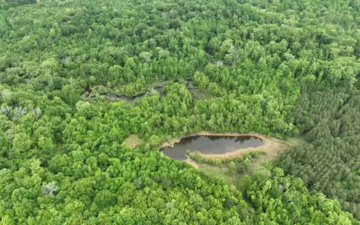 250 Acres Cass County Hunting Land | Shop & Living Quarters