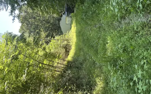 26.21+/- Wooded Acres. Unrestricted Recreational!!