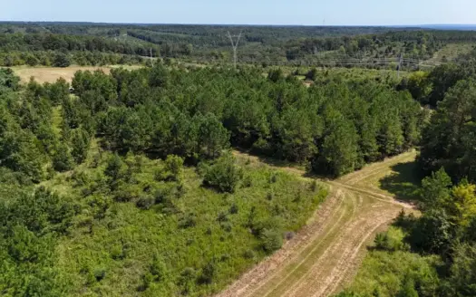289 Acres Hunting & Timberland with Cabin-Autauga County, Alabama
