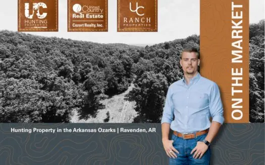 Prime Hunting Land in the Ozarks | Ravenden, Arkansas