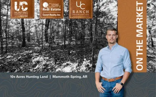 Hunting Land For Sale Near the Spring River | Mammoth Spring, AR
