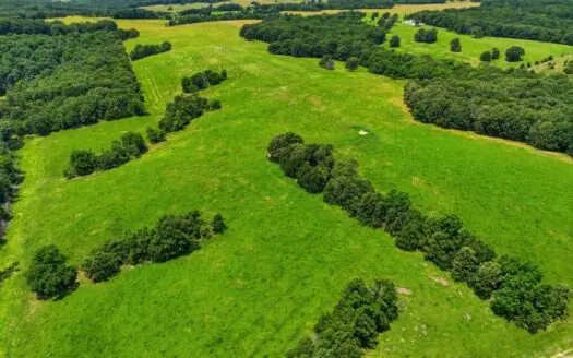 431 Acre Ozarks Farm with Springs, Ponds & Income Potential