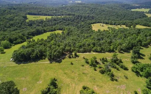 Ozarks Farm for Sale! 155 Acres of Land for Sale!