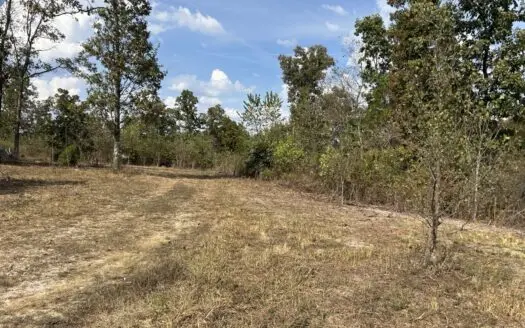 Small acreage for sale in Douglas County MO with No Restrictions