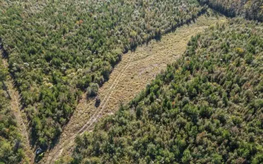 113 Acres of Hunting Land in Liberty, Mississippi