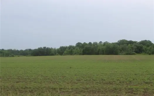 34 Acres of High-Quality, Fully Tillable Farmland in Ogilvie