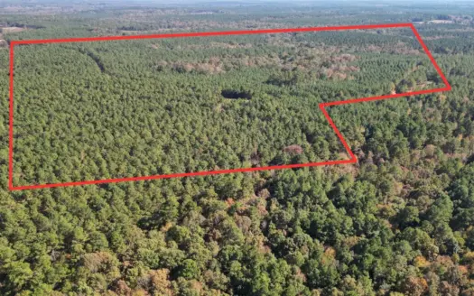 34.82 Ac. Of Miller Co. Ar Hunting, Homestead, Timberland