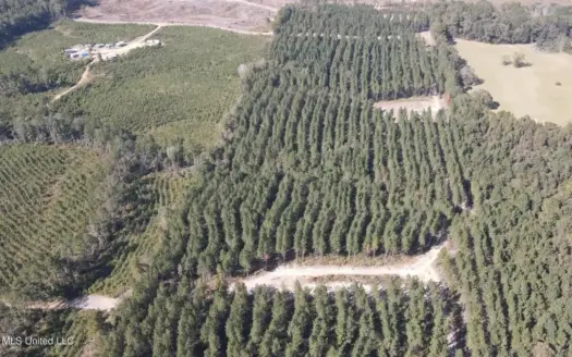 35 Acres for Sale in Pelahatchie, MS | Rankin County