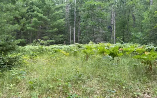37-Acre Parcel Adjacent to State Land in Atlanta MI