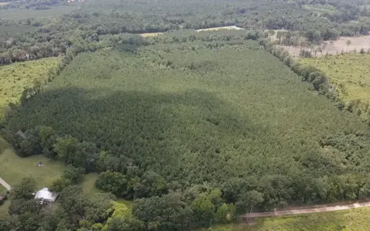 37 Acres for Sale in Morton, MS | Wooded Land