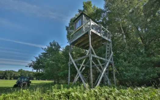 38.85-Acre Hunting & Recreational Property for Sale in Wood Cty